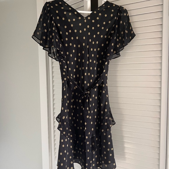 Rixo Mini Dress - Picture 5 of 6